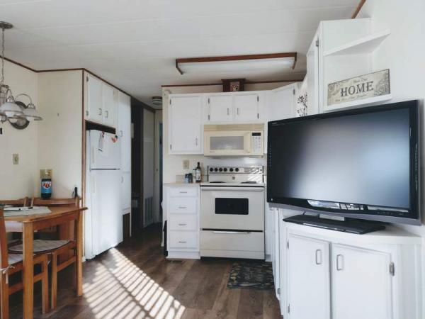 1987 Skyline Manufactured Home