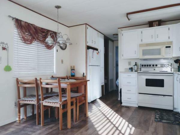 1987 Skyline Manufactured Home