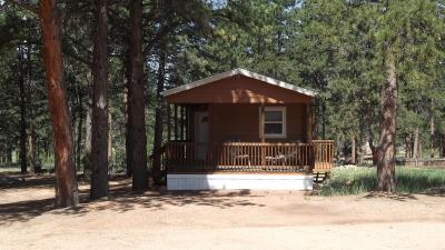 Mobile Home at 27572 State Highway 67  Lot #21 Woodland Park, CO 80863