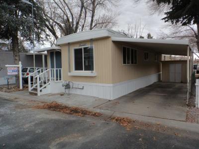 Mobile Home at 327 B Street Carson City, NV 89706