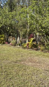 1998 Palm Harbor Manufactured Home
