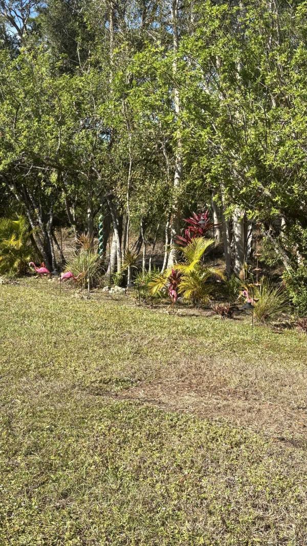 1998 Palm Harbor Manufactured Home