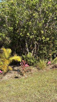 1998 Palm Harbor Manufactured Home