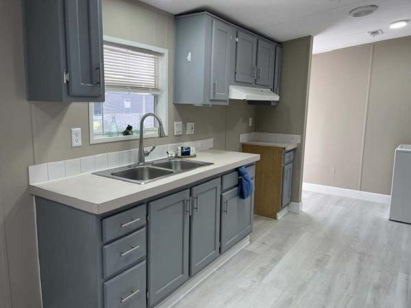 1999 Skyline 123456 Mobile Home