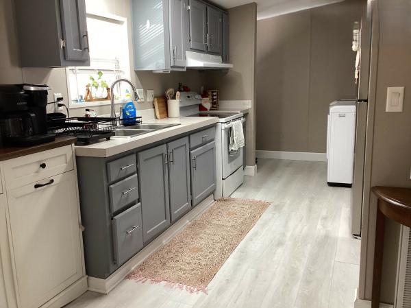 1999 Skyline 123456 Mobile Home