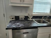 2024 Skyline - Ocala Ocoee Mobile Home