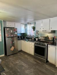 1969 New Moon Manufactured Home