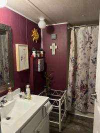 1969 New Moon Manufactured Home