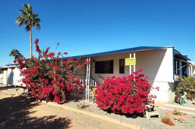 Photo 2 of 21 of home located at 2420 W. 5th Ave., Lot 30 Apache Junction, AZ 85120