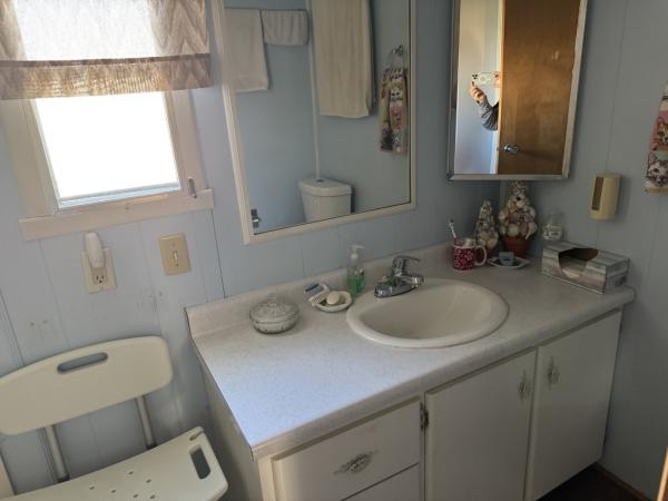 1972 Mobile Home