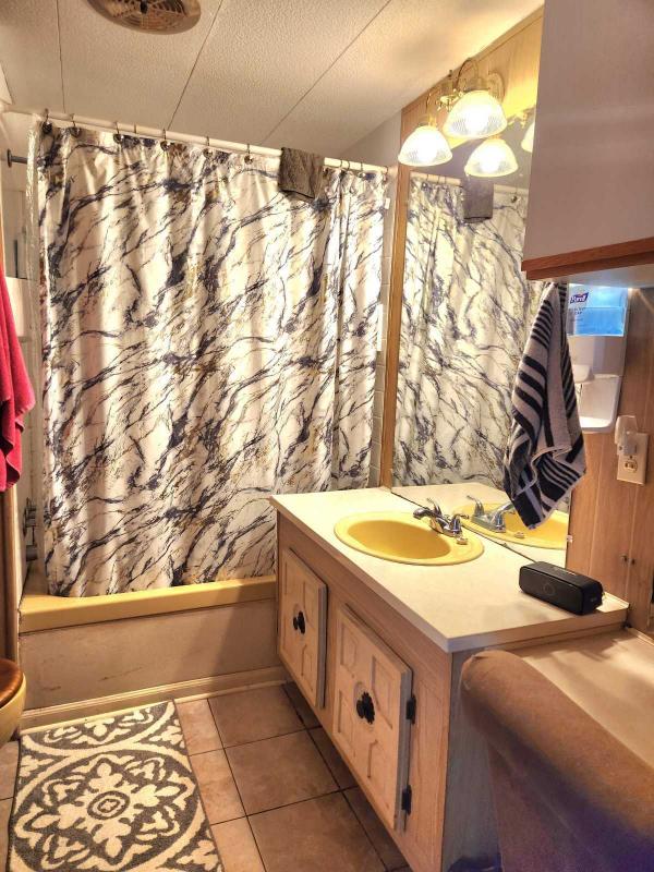 1971 Mobile Home