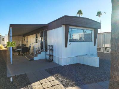 Mobile Home at 1150 N Delaware Drive, Lot 63 Apache Junction, AZ 85119