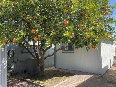 Photo 4 of 20 of home located at 2305 W Ruthrauff Rd #I-3 Tucson, AZ 85705