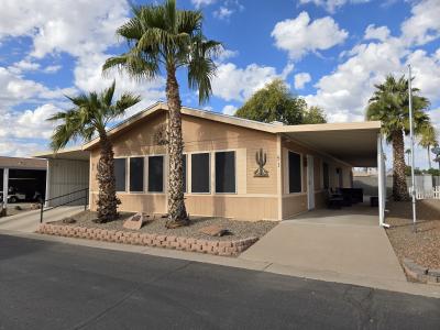 Mobile Home at 3700 S Ironwood Drive, #51 Apache Junction, AZ 85120