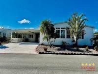 2004 PALM   Home