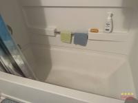 1996 PALM   Home