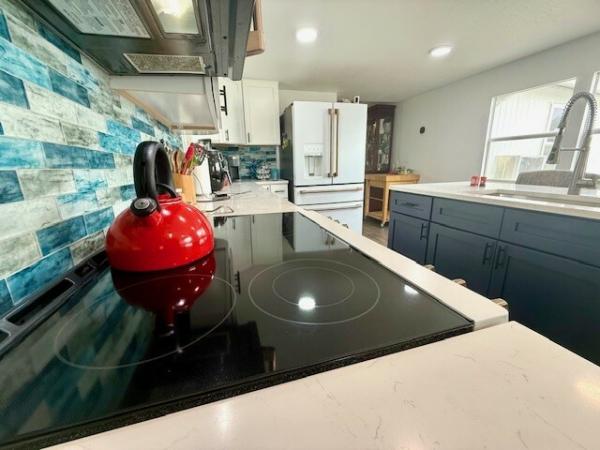 1971 HS 1234 Mobile Home