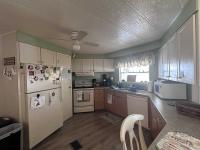 1979 Skyline Mobile Home