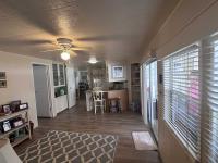 1979 Skyline Mobile Home
