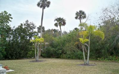 Photo 5 of 23 of home located at 4680 Wood Stork Drive Merritt Island, FL 32953