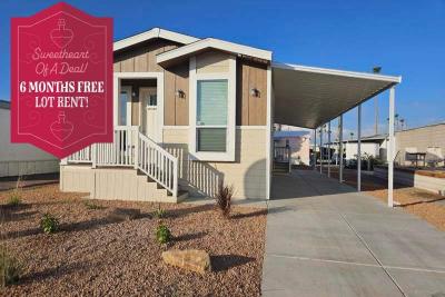 Mobile Home at 2305 W Ruthrauff Rd #G17 Tucson, AZ 85705