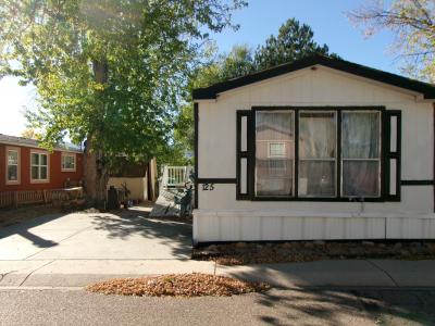 Mobile Home at 5150 Airport Road Lot # C-125 Colorado Springs, CO 80916