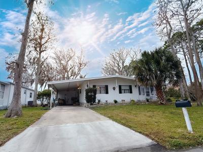 Mobile Home at 02 Bay In The Wood Port Orange, FL 32129