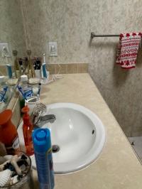 2003 Skyline Manufactured Home