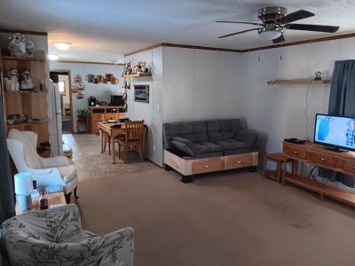 Mobile Home at 981 Barberry Road Howard City, MI 49329