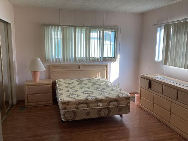 1971 skyline dom-1971 Mobile Home