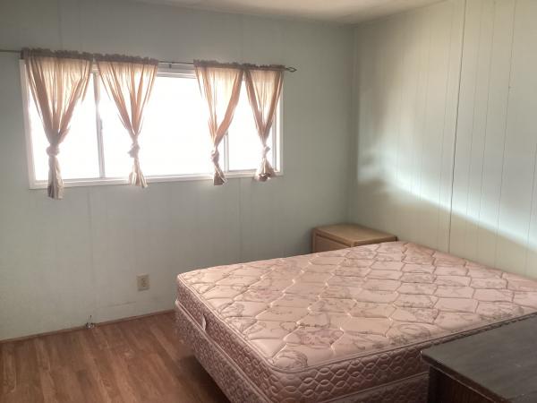 1971 skyline dom-1971 Mobile Home