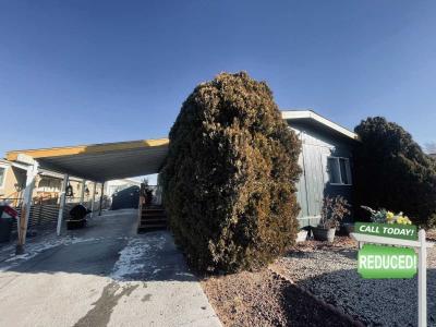 Mobile Home at 28 Primton Fernley, NV 89408