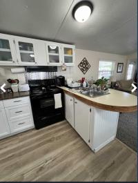 Mobile Home