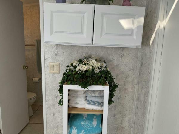 2000 Skyline Manufactured Home