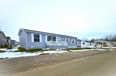 Mobile Home at 1559 Deer Point Martin, MI 49070