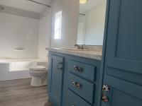 2002 Skyline Mobile Home