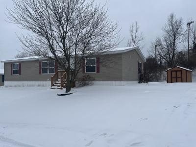 Mobile Home at 1157 Nicolson St Wayland, MI 49348