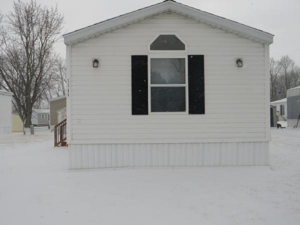 1998 SKYLINE Mobile Home For Sale