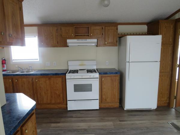 1998 SKYLINE mobile Home