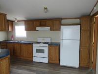1998 SKYLINE mobile Home