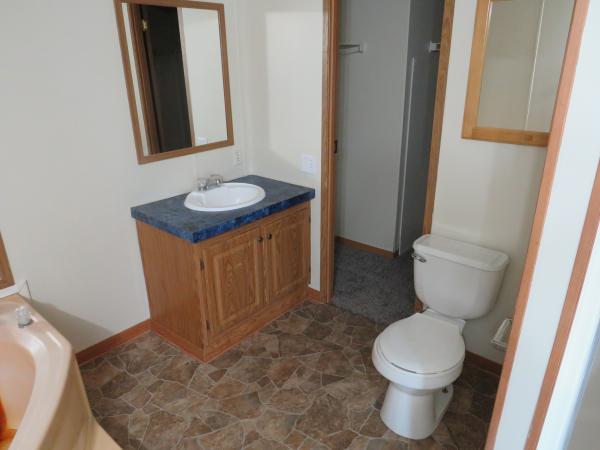 1998 SKYLINE mobile Home
