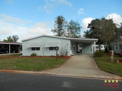 Mobile Home at 3025 Tree Frog Lane Deland, FL 32724