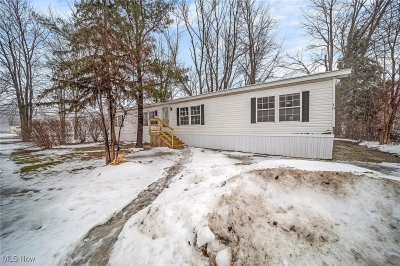 Mobile Home at 3583 Austin Rd. Lot 10 Geneva, OH 44041