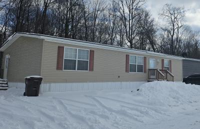 Mobile Home at 5325 Van Orden Rd 753 Webberville, MI 48892