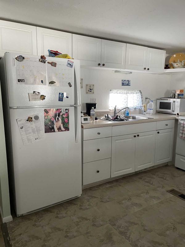 1973 Skyline  HS Mobile Home