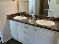 2019 Skyline Silver Springs Premier - LE 5029 Magnolia Manufactured Home