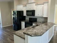 2019 Skyline Silver Springs Premier - LE 5029 Magnolia Manufactured Home