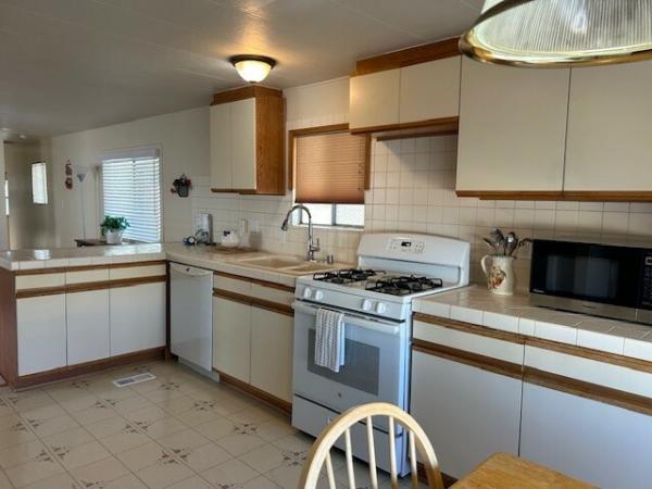1971 Skyline NA Mobile Home