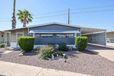Mobile Home at 305 S. Val Vista Drive #29 Mesa, AZ 85204
