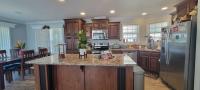 2017 Skyline Mobile Home